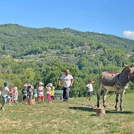 Baldo E Riccia - Con Centro Terapie Assistite Con Animali Фермерський будинок *